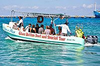 Cozumel Snorkeling