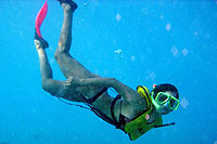 Unlimited Cozumel Snorkeling