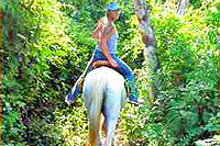 Cozumel Horseback Riding
