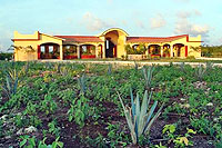 Tequila Factory, Cozumel