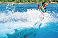 Royal Dolphin Swim Cozumel Mexico