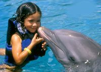 Cozumel Dolphin Encounter