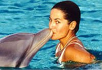 Cozumel Dolphins