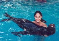 Cozumel Sea Lions