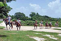 Cozumel Horseback Riding