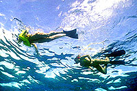 Cozumel Snorkeling