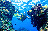 Cozumel Snorkeling Tour