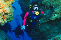 PADI Open Water Scuba Diving Certification