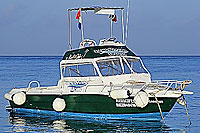 Cozumel Snorkeling Tour