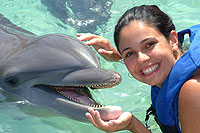 Xcaret Dolphins Encounter