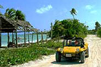 Mayan Caves in Cozumel Mexico