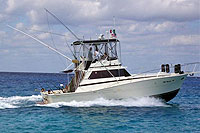 Cozumel Fishing