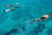Private Snorkeling Tour