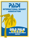 Gold Palm IDC