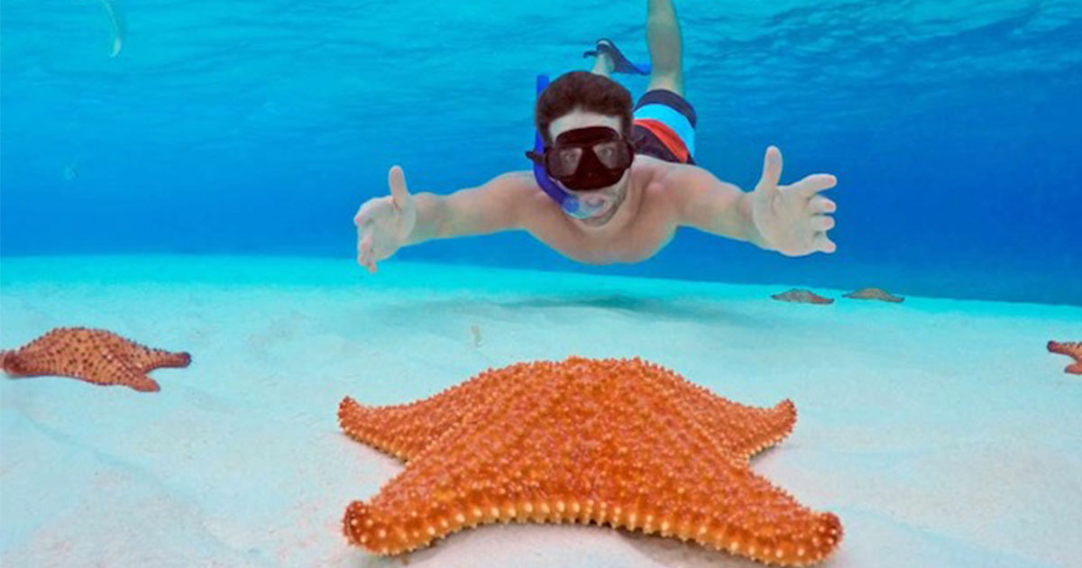 Cozumel Tours, Activities and Excursions