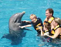 groups in cozumel