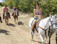 groups in cozumel