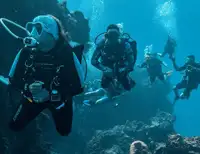 groups in cozumel