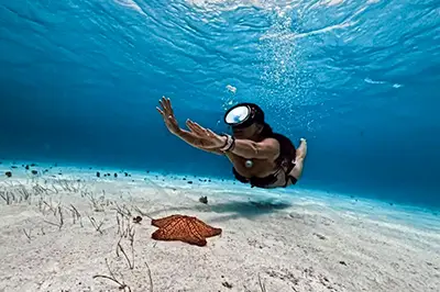 Cheap Private Snorkeling Tour Cozumel