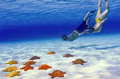 Columbia Reef Snorkeling Tour