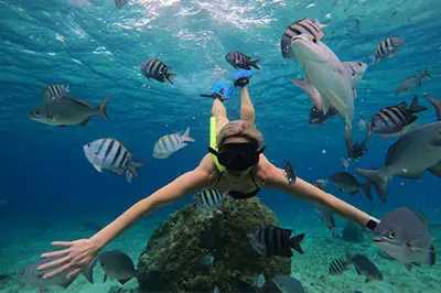 Catamaran Snorkeling Tour Cozumel