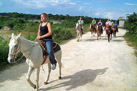 Horseback Riding Tour Cozumel