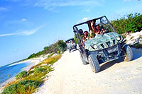 Cozumel Mini-Jeep Rhinos Tour