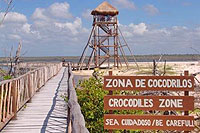 Punta Sur Crocodiles Cozumel