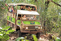 Cozumel Jeep Tour