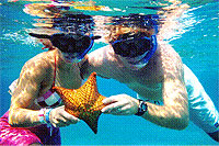 Cozumel Snorkeling Excursion