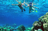 Snorkeling at Chankanaab Park, Cozumel