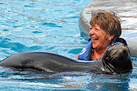 Sea Lion Encounter Cozumel