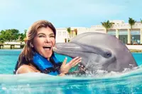 Cozumel Dolphin Swimming