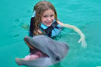Dolphin Encounter at Dolphin Discovery