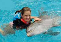 Cozumel Dolphin Encounter