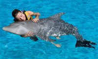 Dolphin Swim Cozumel
