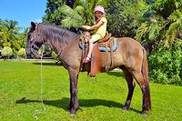 Cozumel Horseback Riding