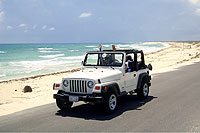 Jeep Tour in Cozumel