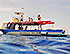 Cozumel Boat Tours