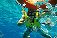 Cozumel Coral Reef Snorkeling