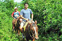 Horseback Riding in Cozumel
