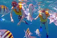 Las Uvas Snorkeling Tour