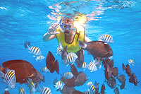 Cozumel Snorkeling