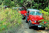 Cozumel Jeep Excursion