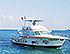 Private Catamaran Snorkel