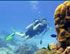 Open Water Check Out