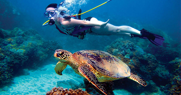 Sunset Beach Cozumel Club At Villa Blanca Reef