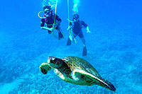 Snuba Diving Cozumel Mexico