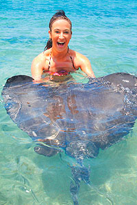 Stingray Beach Cozumel - Snorkel with Stingrays!