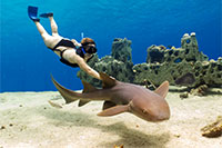 Stingray Beach Club, Cozumel Mexico